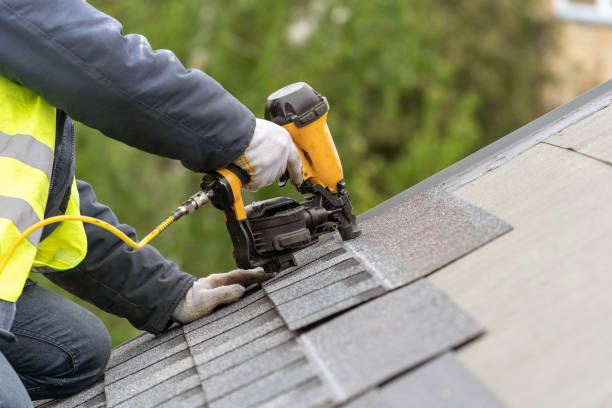 Best Roof Moss and Algae Removal  in Roseland, OH